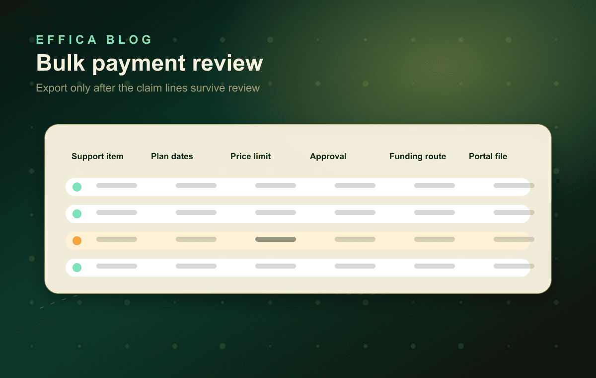 Generated diagram showing bulk payment claim lines reviewed for support item, plan dates, price limit, approval, funding route, and portal file readiness